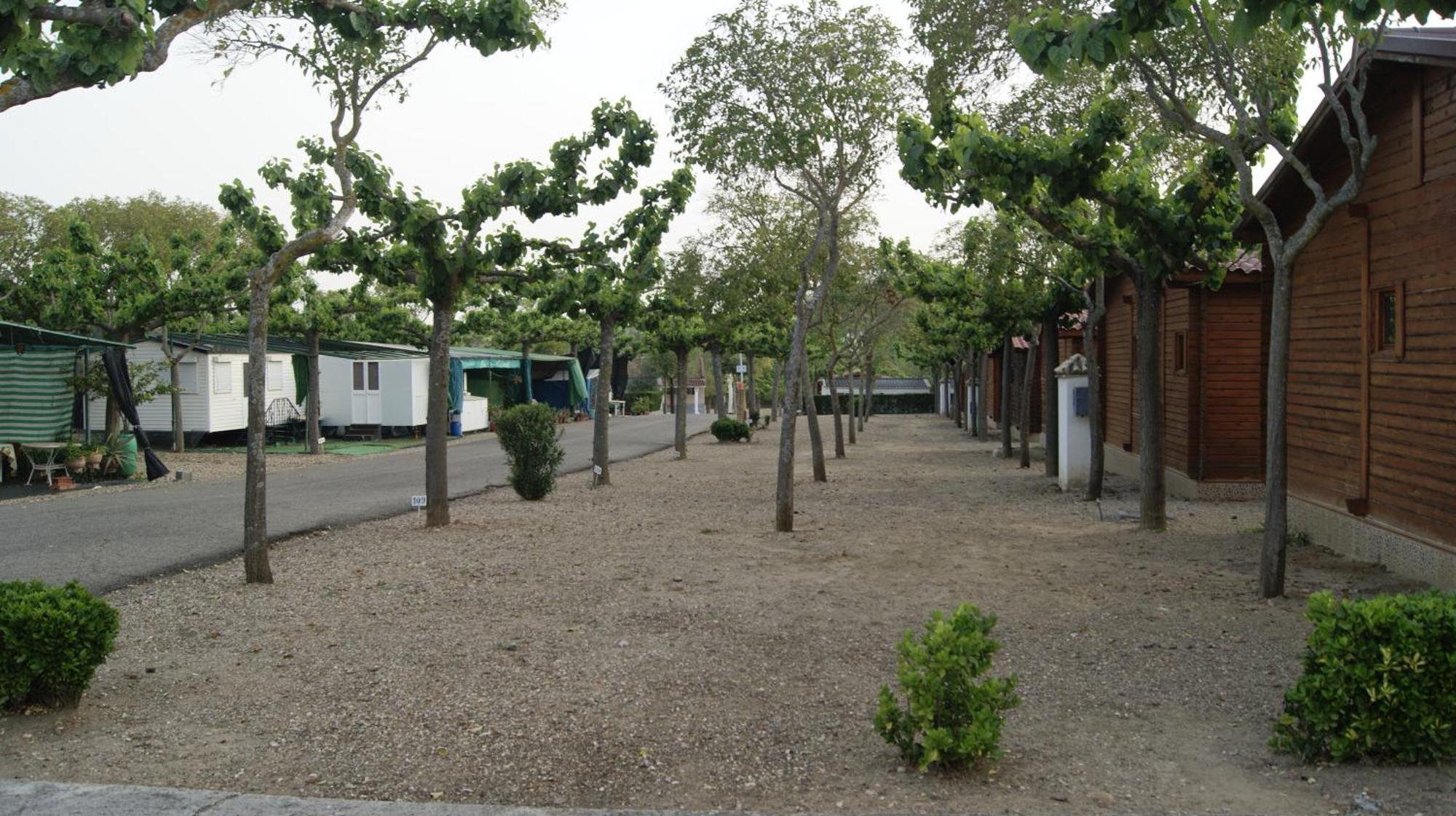 Camping Carlos III La Carlota Εξωτερικό φωτογραφία
